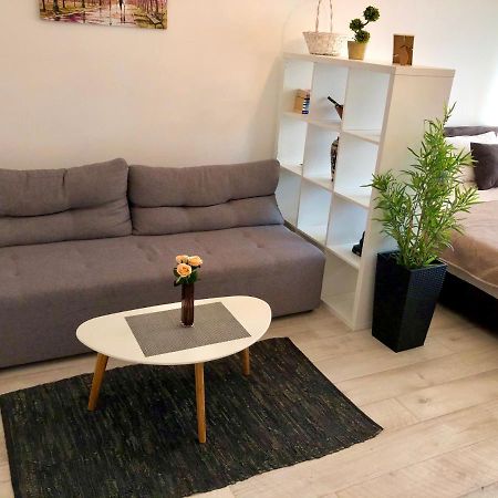 Modern Studio Belgrado Esterno foto